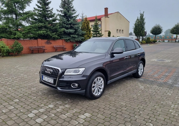 Audi Q5 cena 79900 przebieg: 174400, rok produkcji 2014 z Paczków małe 211